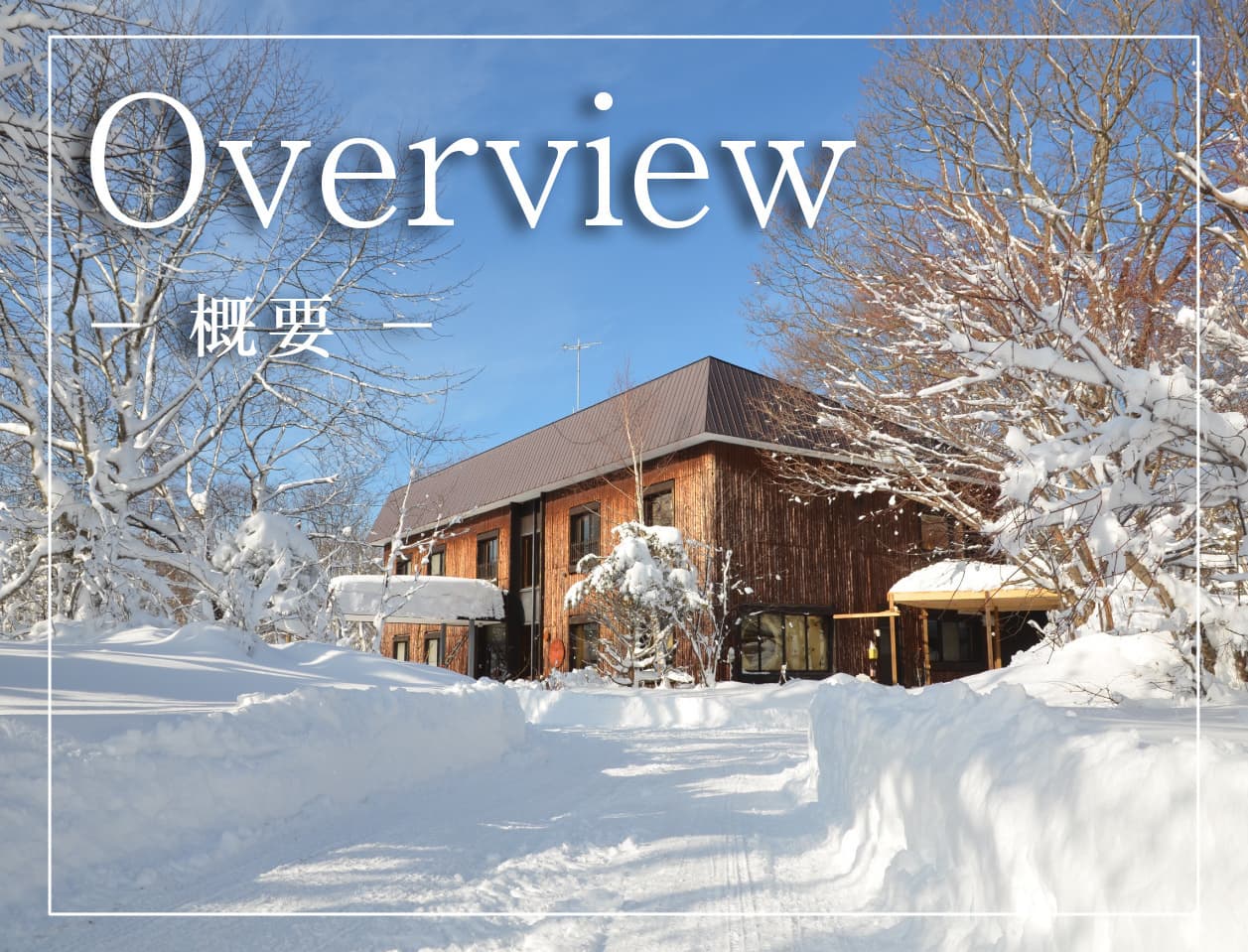 概要/Overview