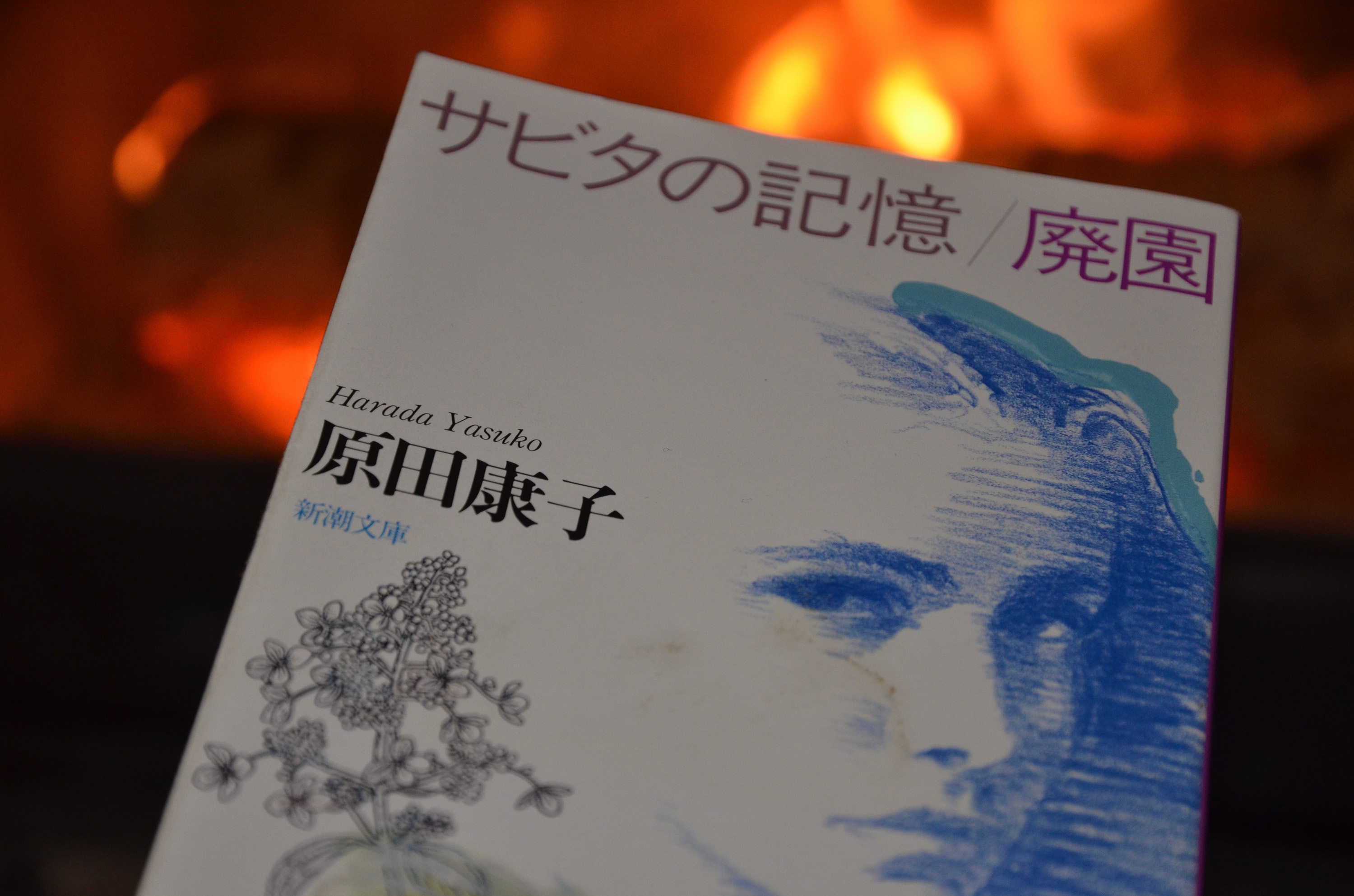 サビタの記憶 / 原田康子の名作