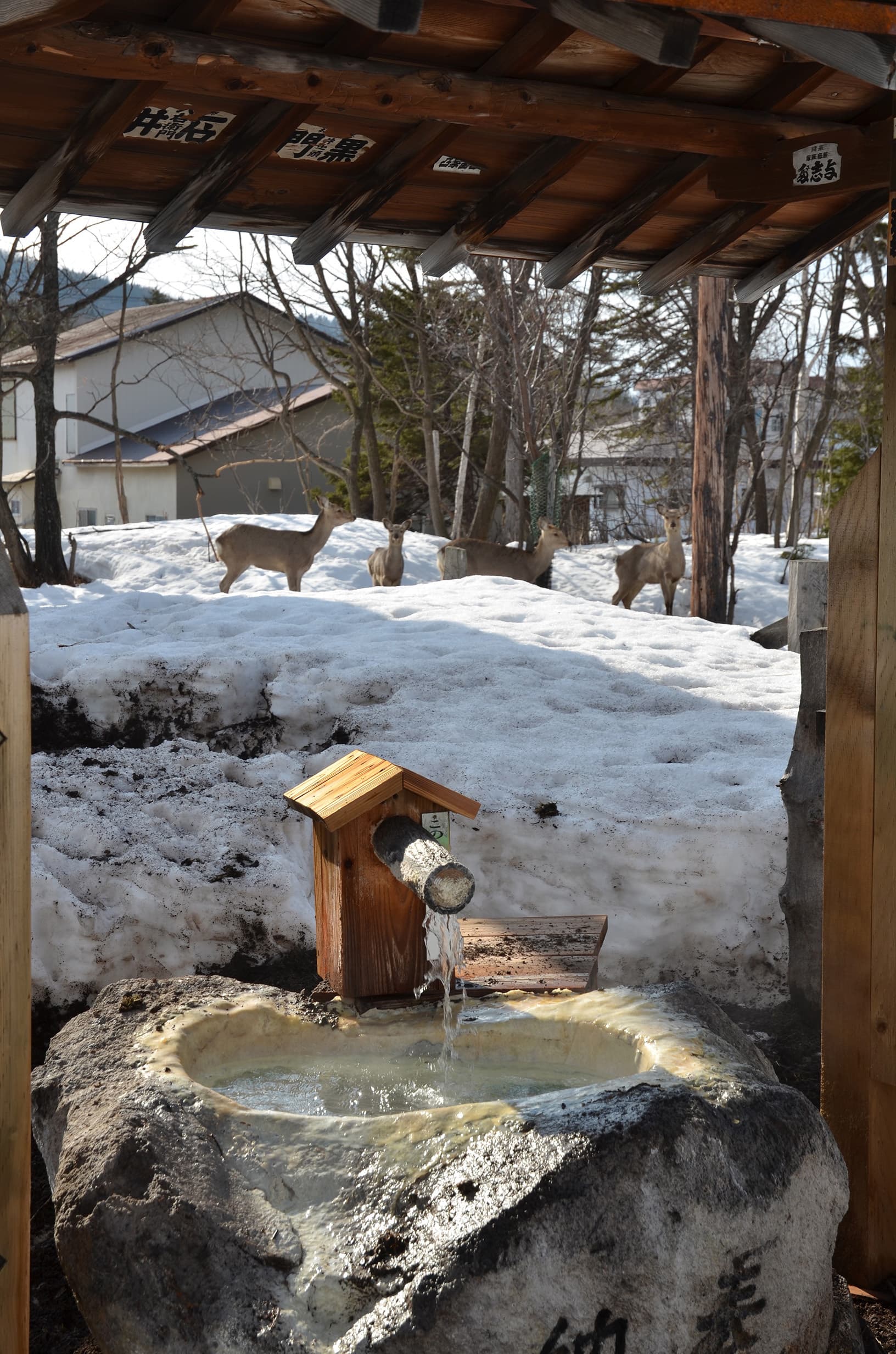 極寒藝術伝染装置と周辺及び東北海道地域の画像