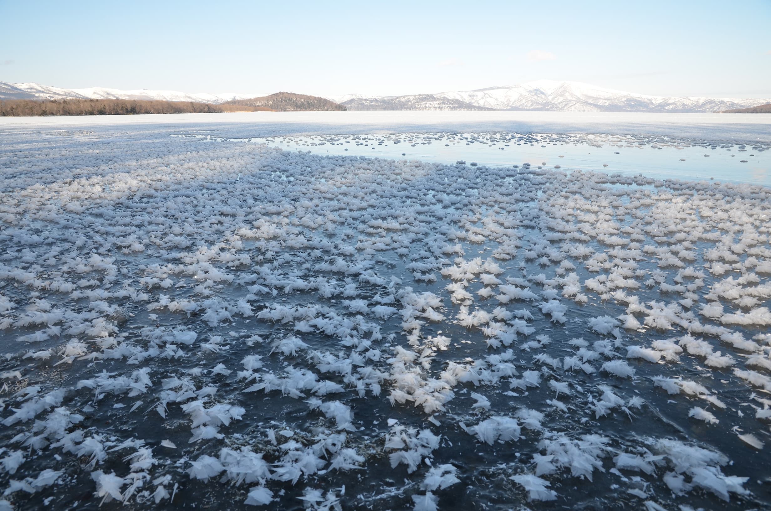 極寒藝術伝染装置と周辺及び東北海道地域の画像