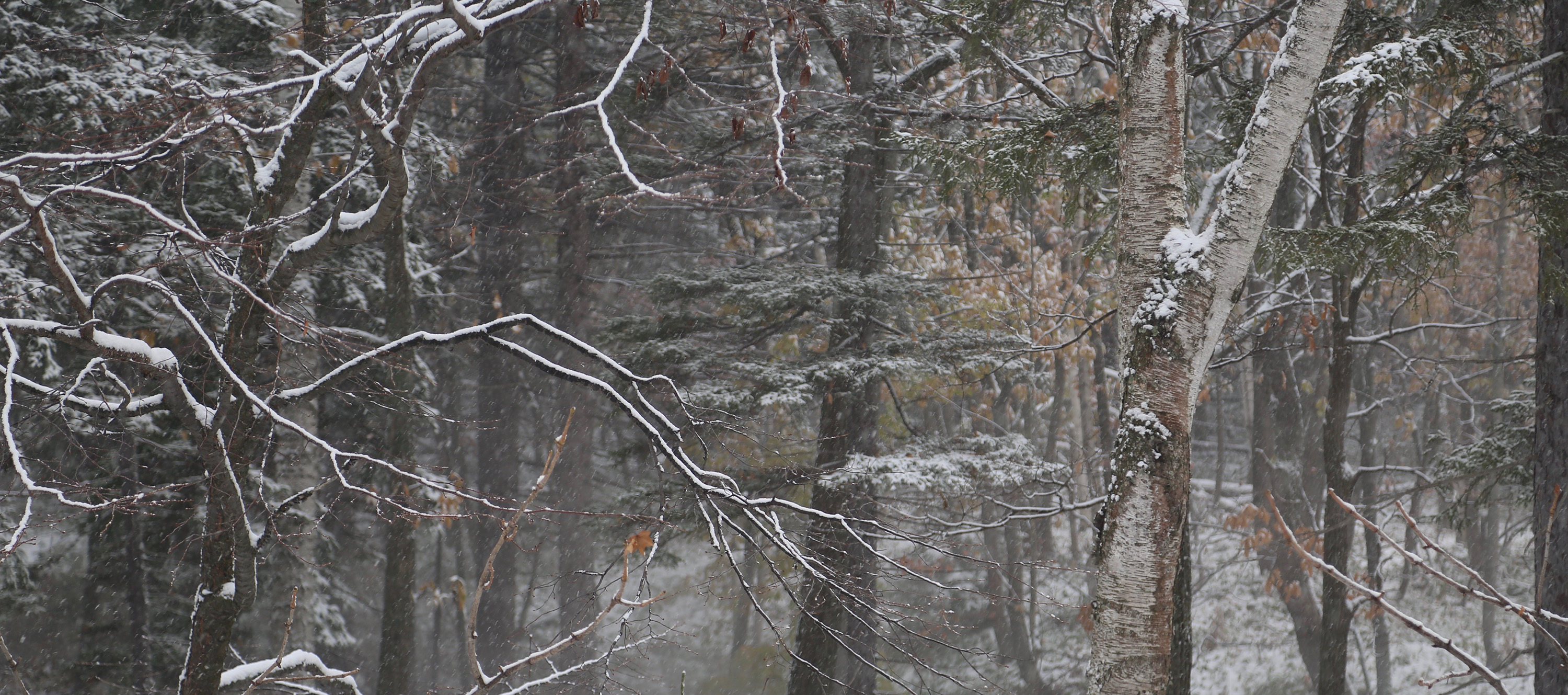 The winter view from the balcony.