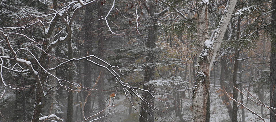 The winter view from the balcony.