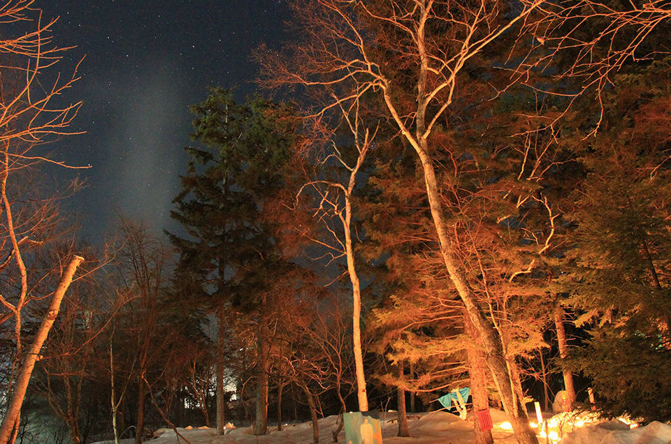 夜の雪杜美術館